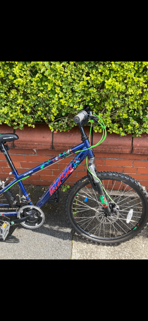 Ridgeback Kids Mountain Bike - Blue, Good Condition