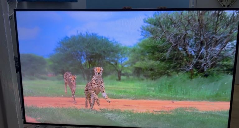 image for Finlux 55inch Full HD LED TV