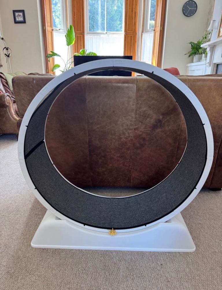Cat exercise wheel