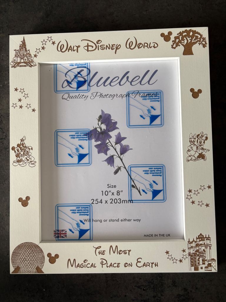 New Disney World Photo Frame 10x8 inch