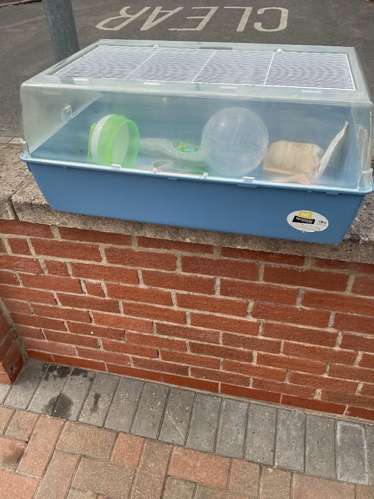 Hamster gerbil rat large cage with accessories and pet carrier 