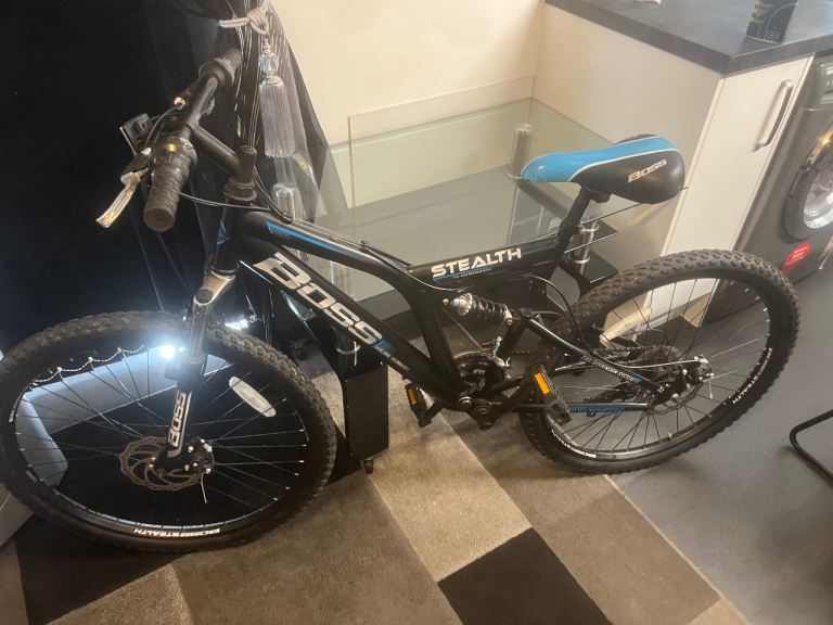 Adult bike 