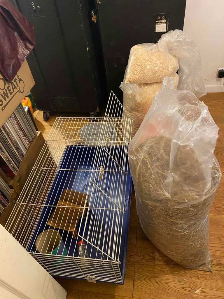 GUINEA PIG STARTER KIT (everything but guinea pigs!)