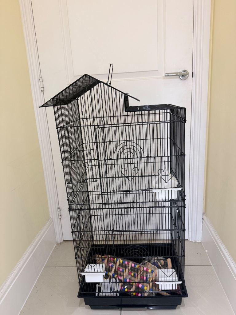 BARGAIN. BRAND NEW BIRD WITH TOYS ETC. READY TO USE