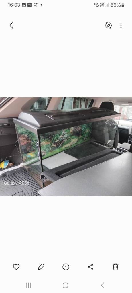 Fish tank 