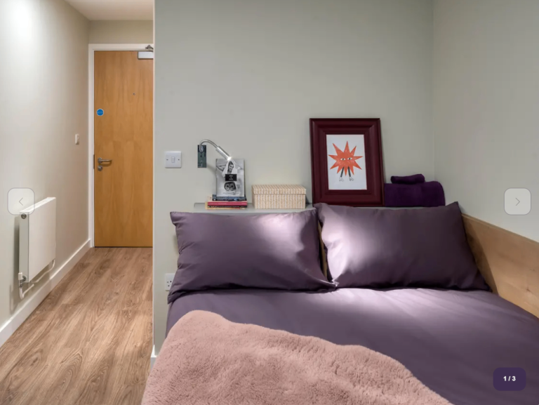 Student Accomodation room - Remainder of Uni year