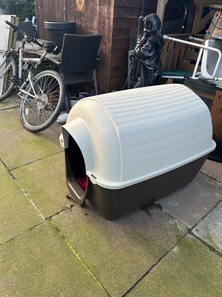 Outside dog kennel