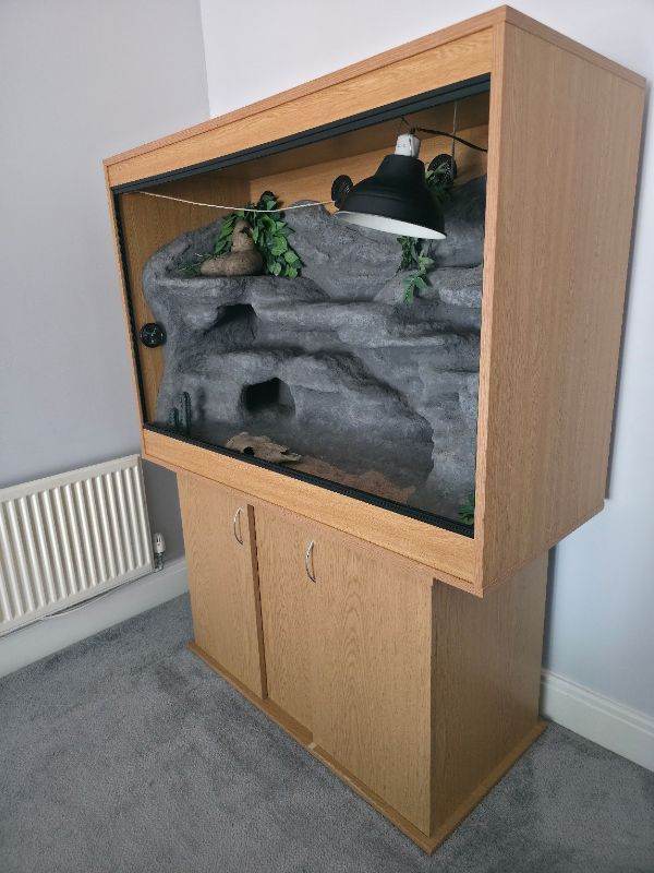 Lizard Vivarium 