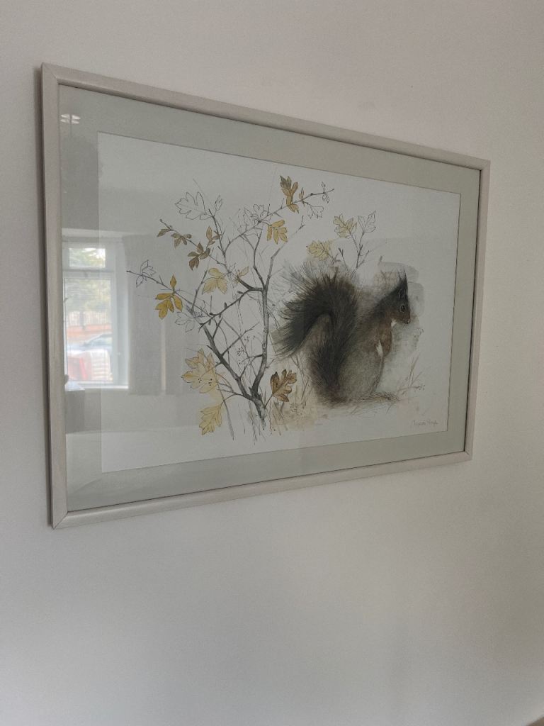 Free Framed Squirrel Watercolour Painting – Good Condition