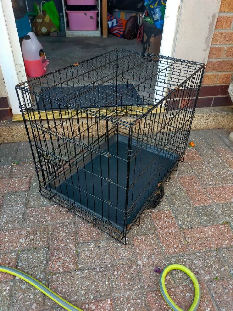 Dog Cage 