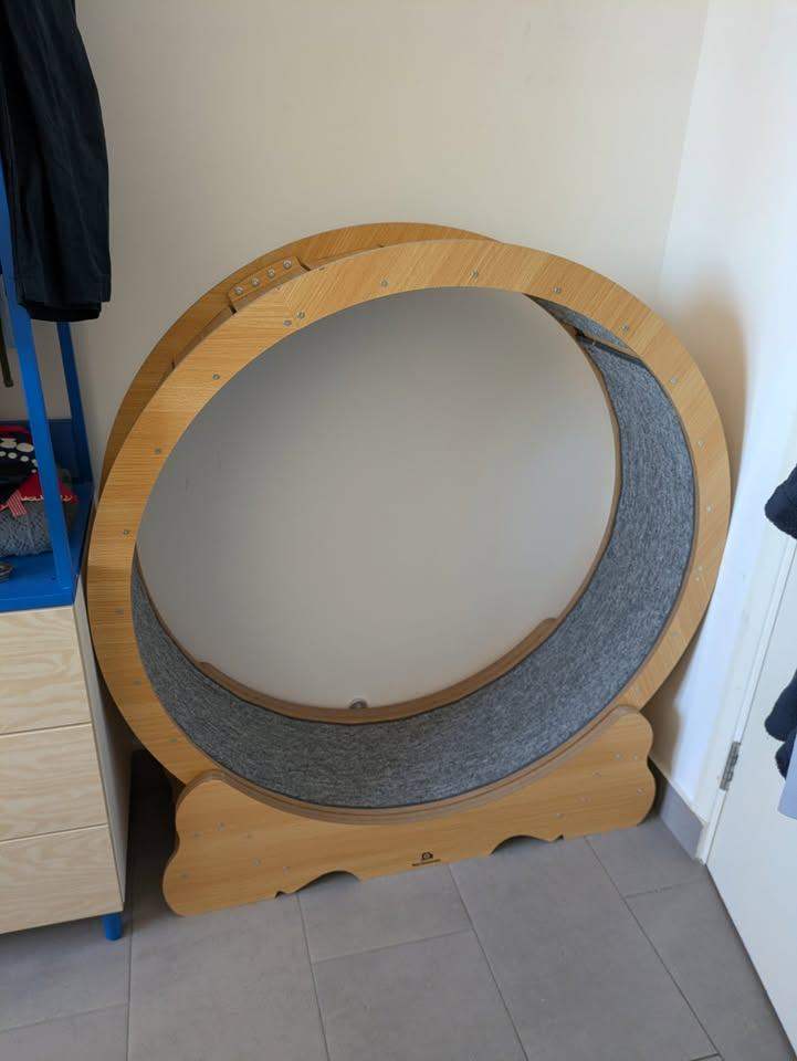 Cat Wheel 