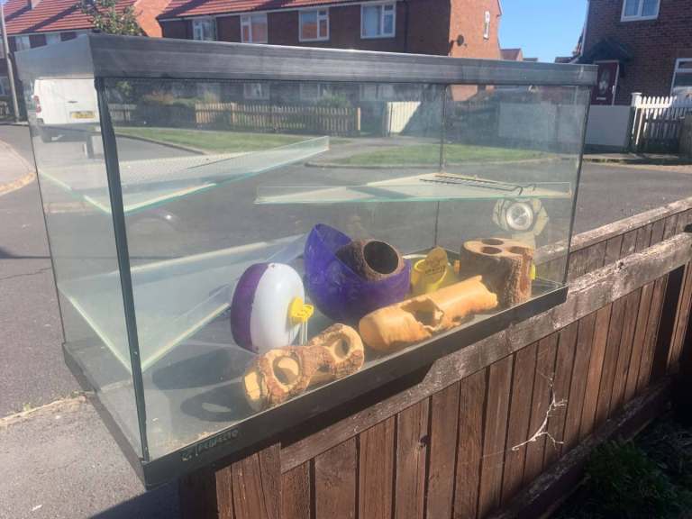 Hamster/ mouse tank
