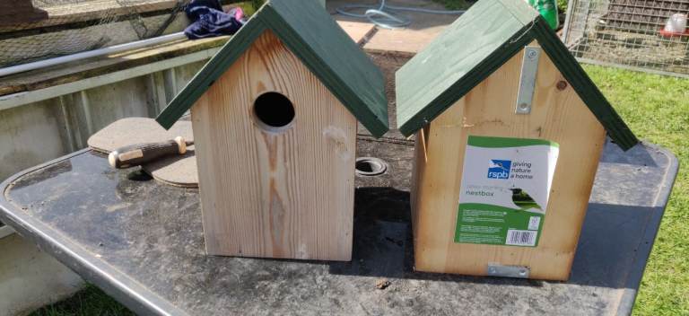 Starling bird boxes