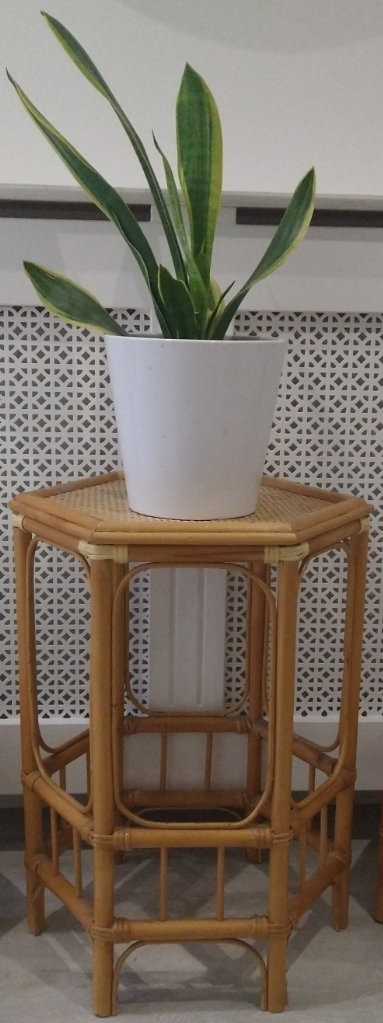 1 x Vintage Cane Bamboo Plant Stand Wicker Rattan Hexagonal Mid Century Boho Tiki