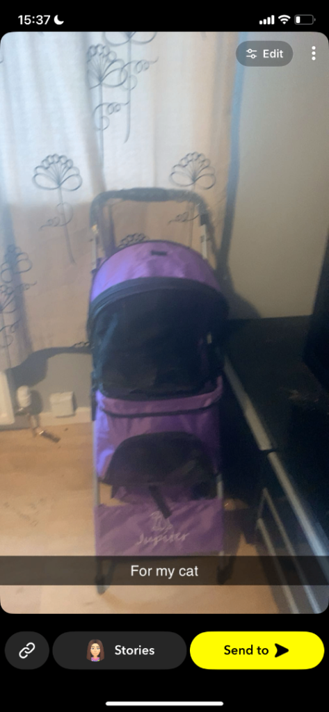 Cat pram 