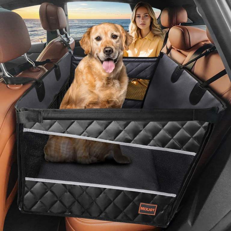 Dog car seat 