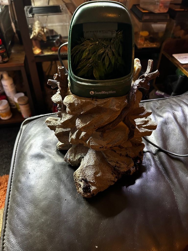 Reptile water fountain and humidifier 