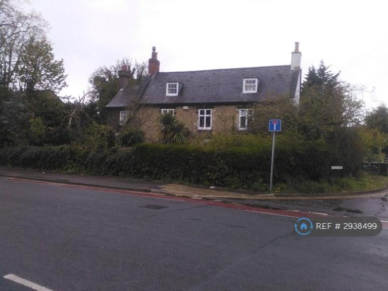 1 bedroom in Eastfield Road, Peterborough, PE1 (#2938499)