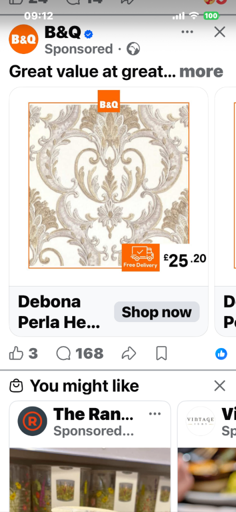 Full breed chihuahua