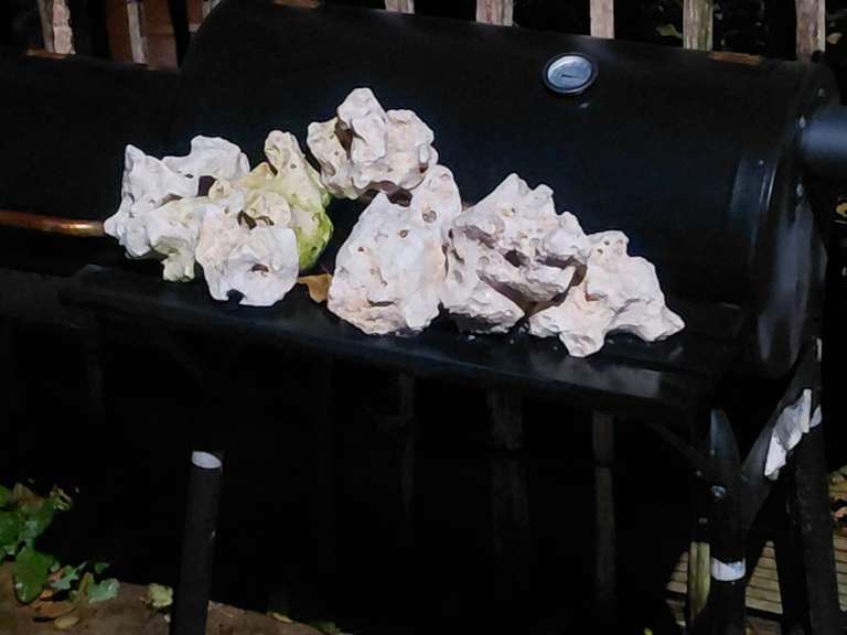 TMC Next Wave 85 - used + ROCKS + SKIMMER + Reef Guard was over £400 new asking 170 ono