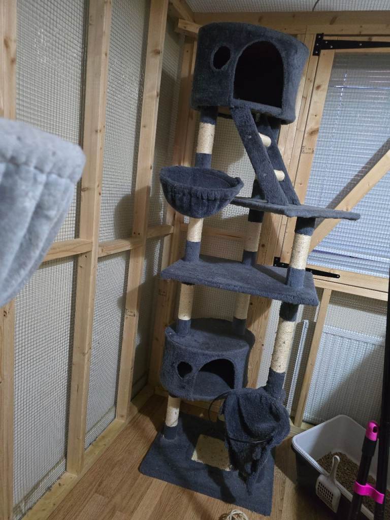 Cat tree 6ft tall