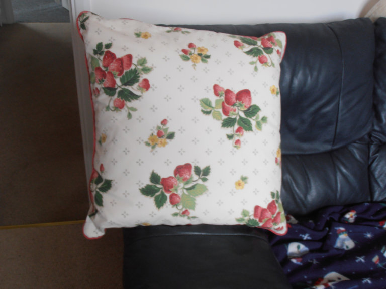 Brand New Beautiful Laura Ashley Cushion