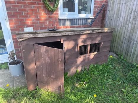 Dog kennel 