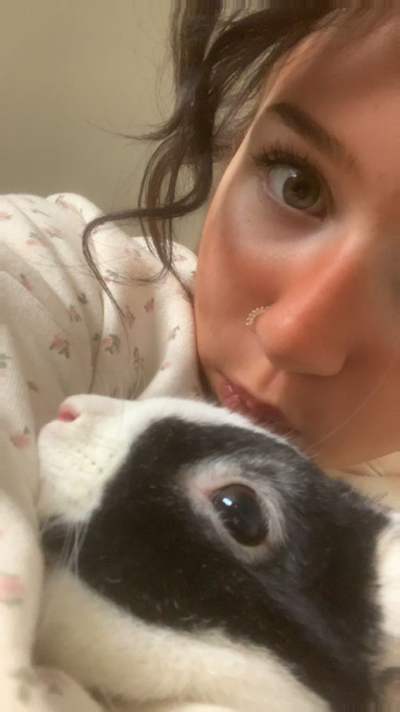 Bunny rabbit with cage 