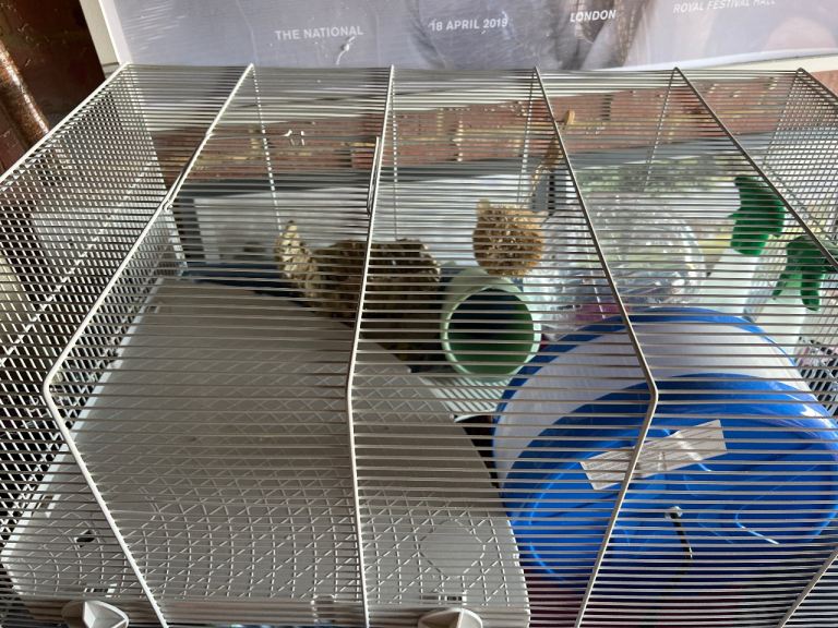 Hamster cage lots of extras 
