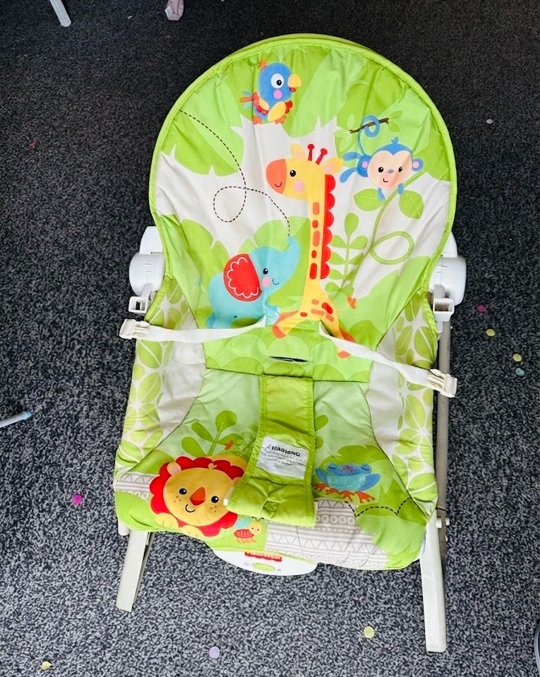 Baby bouncer and baby carrier 