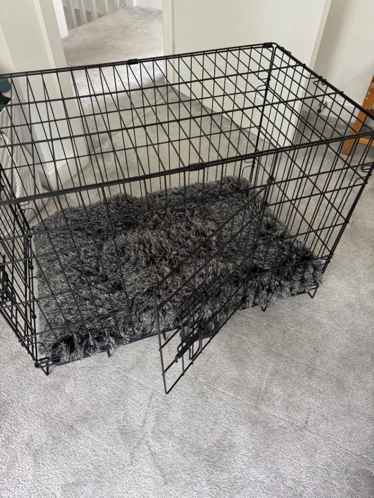 Dog crate and bed