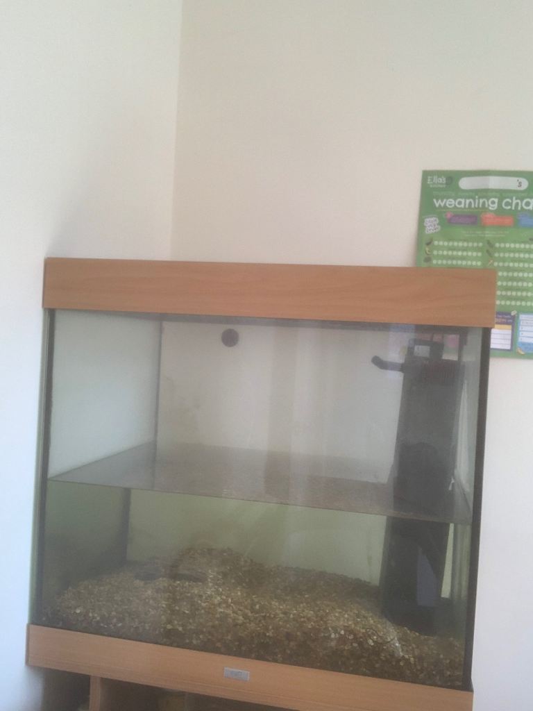 fish tank 