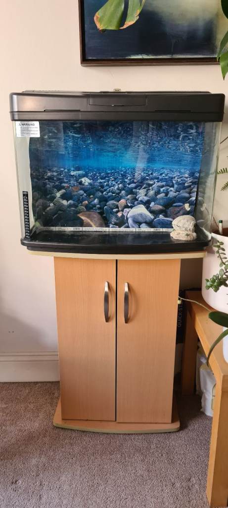 Complete set up, just add fish! 60L aquarium tank with cabinet stand