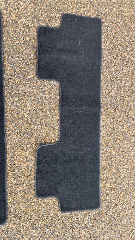 TESLA MODEL 3 REAR CAR MAT  - GENUINE MAT