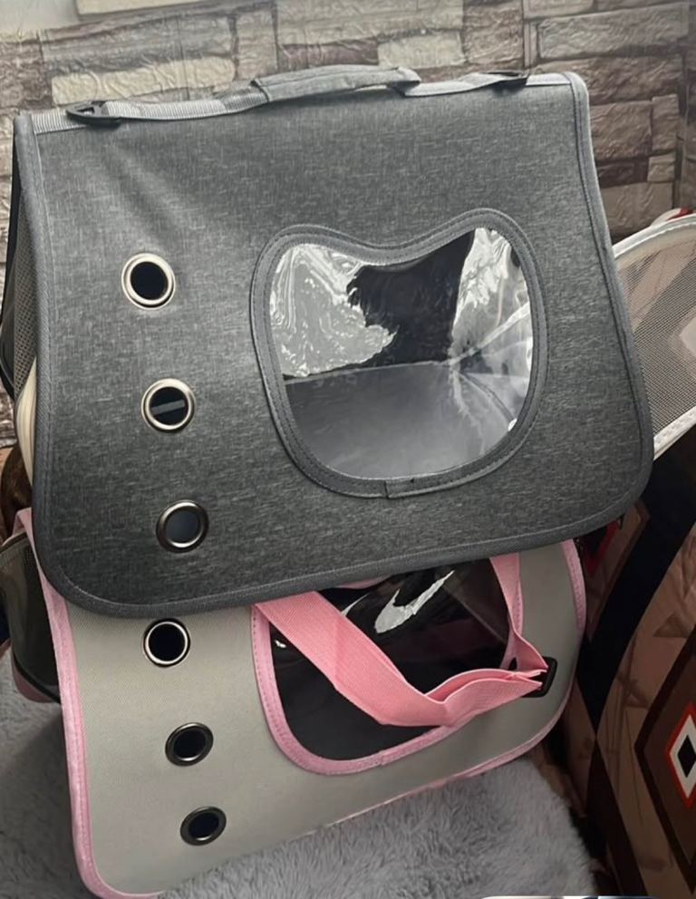 Cat bag 