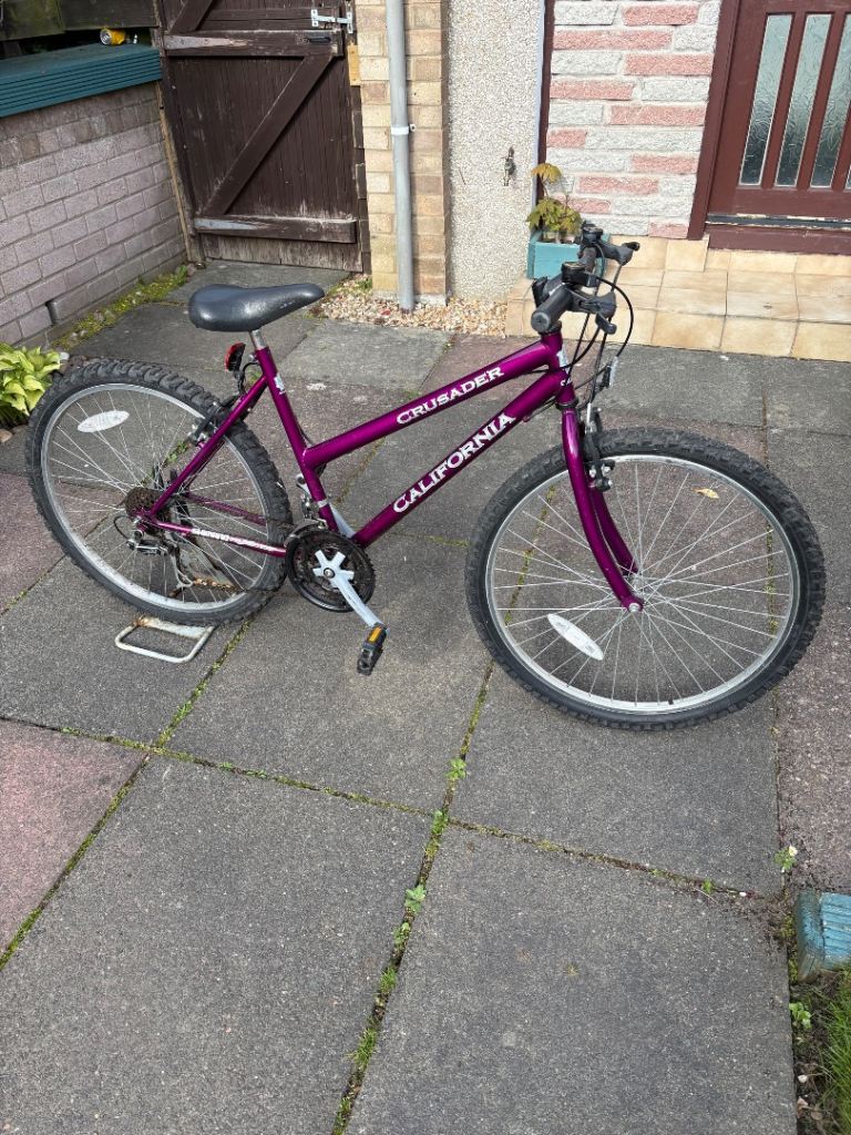 Ladies bike needs repair £10