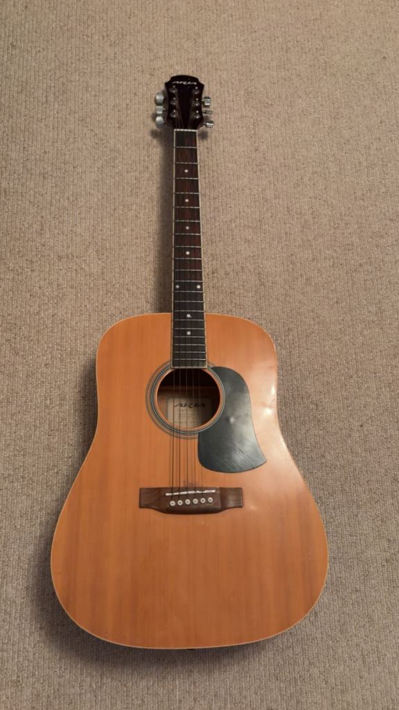 Aria Acoustic Guitar