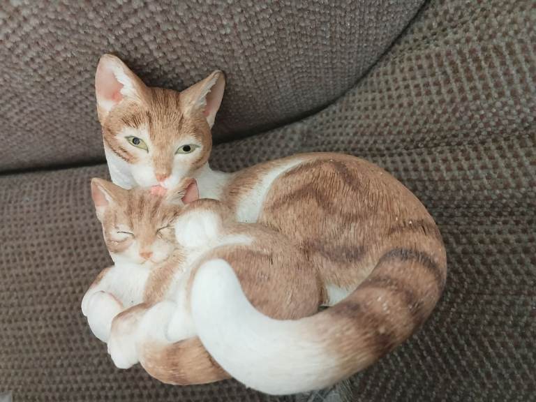 Sheratt and Simpson cat curled up with kitten