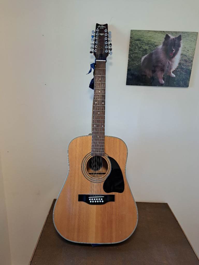 12 String Acoustic Guitar, Hard Case, and Amplifier