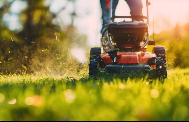 Basic Gardening help offered