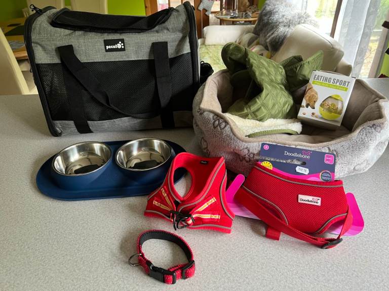 Puppy starter pack