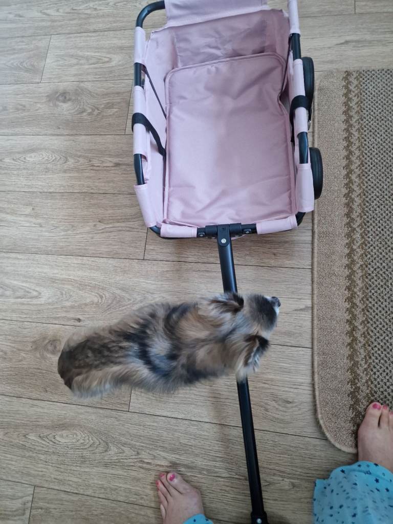 dog cart small to medium dog