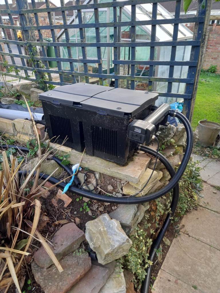 Filter system for pond