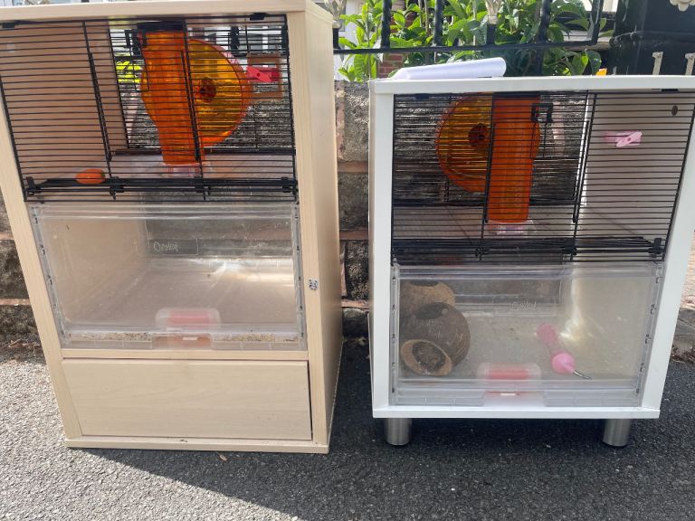 Free - white gerbil cage 