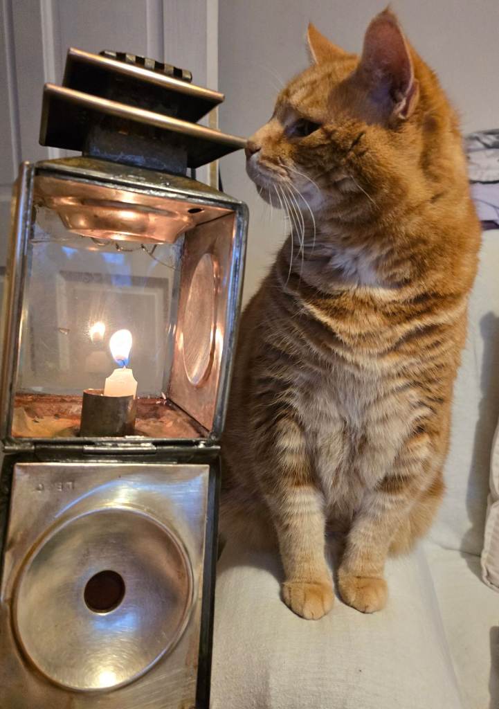 Victorian Carriage Lamp 1880 - 1900 by Lowe, Sleight, Bevan & Co (ACCEPTING OFFERS)