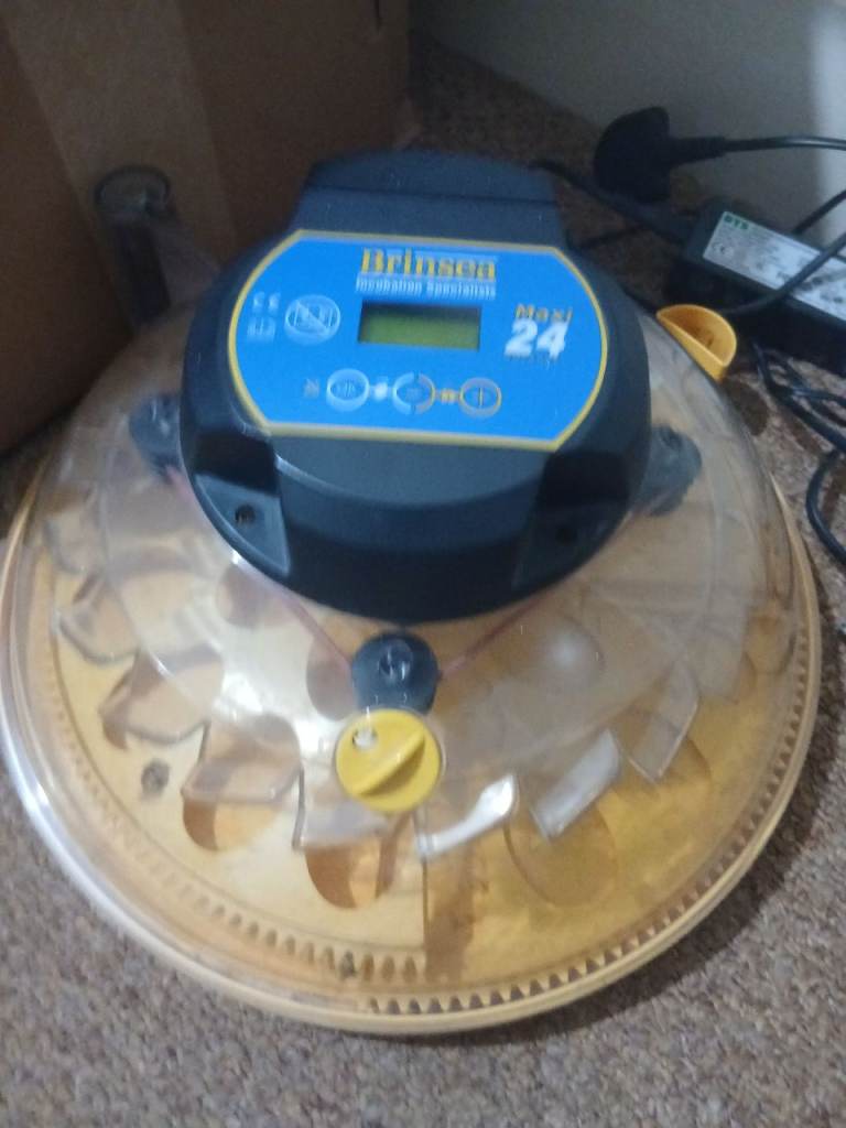 Brinsia 24 egg incubator 