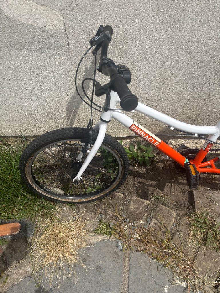 Kids pinnacle ash mountain bike