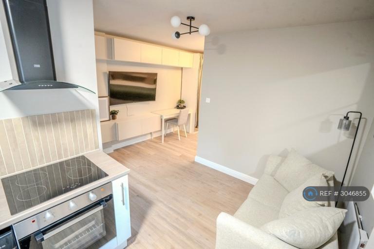 Studio flat in High St South, Dunstable, LU6 (#3046855)