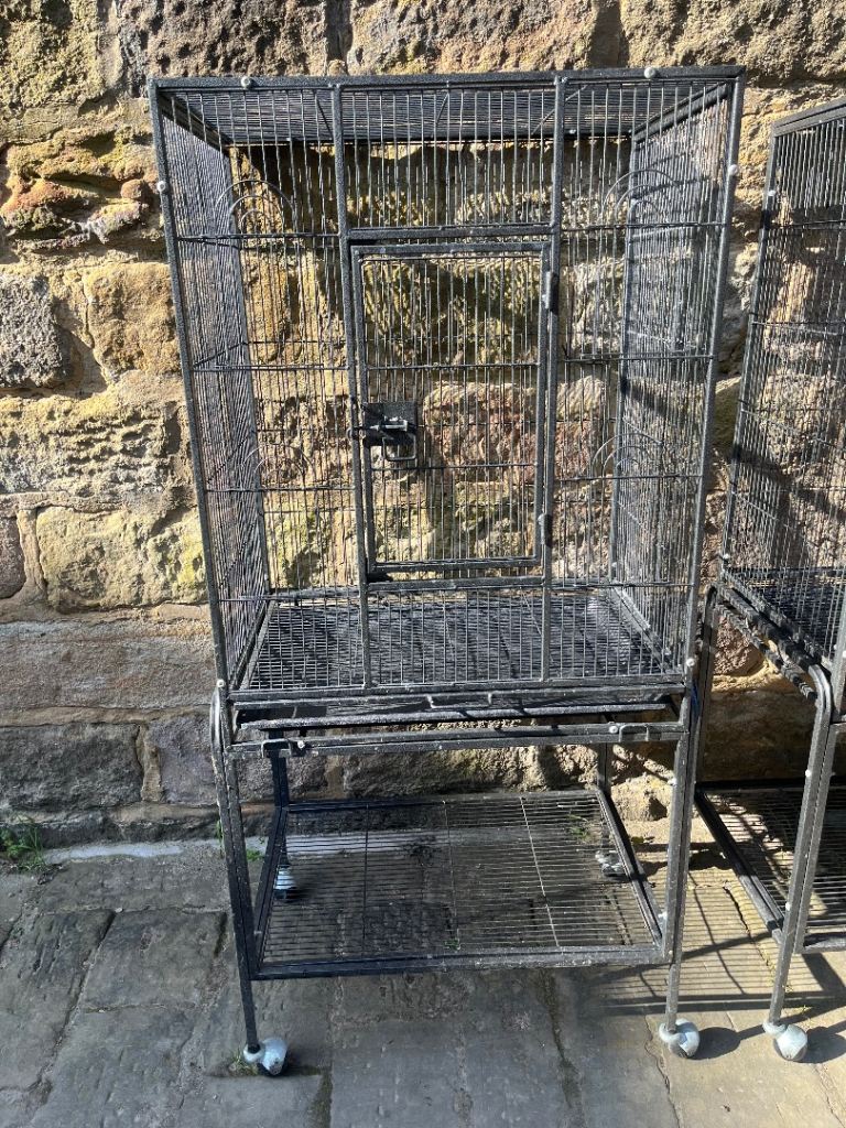 Parrot Cage