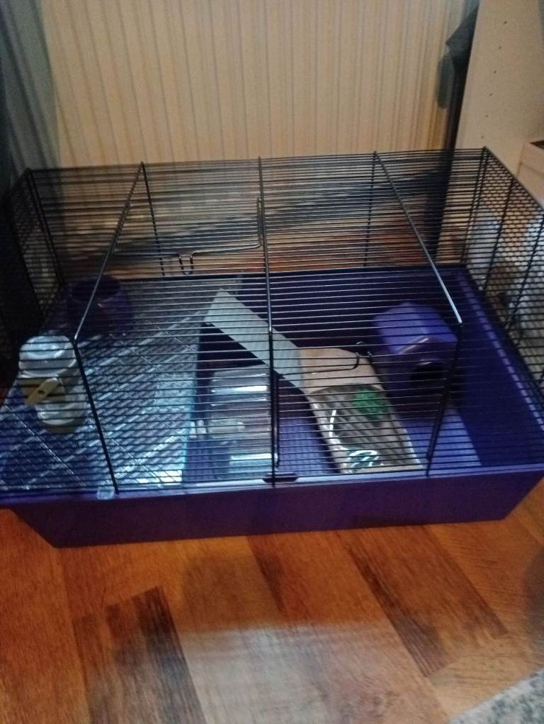 Hamster cage 
